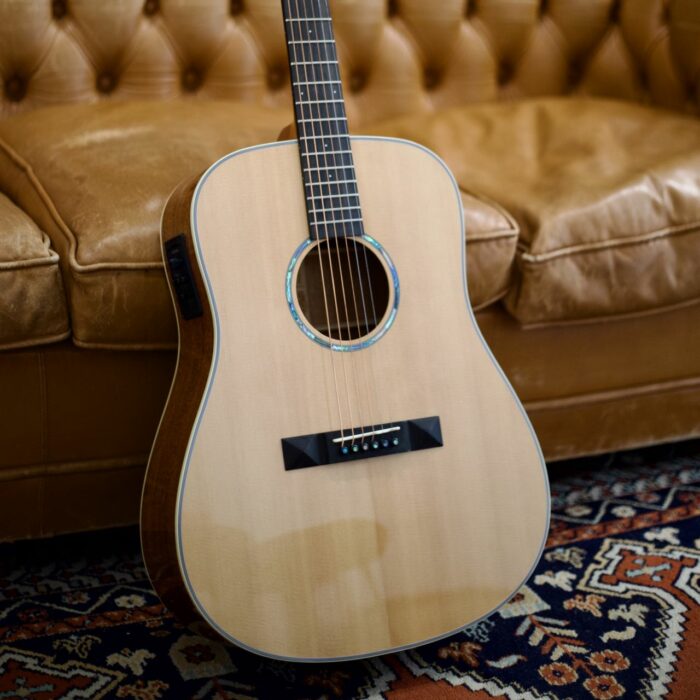 Guitarra Acústica Tasman T300-E