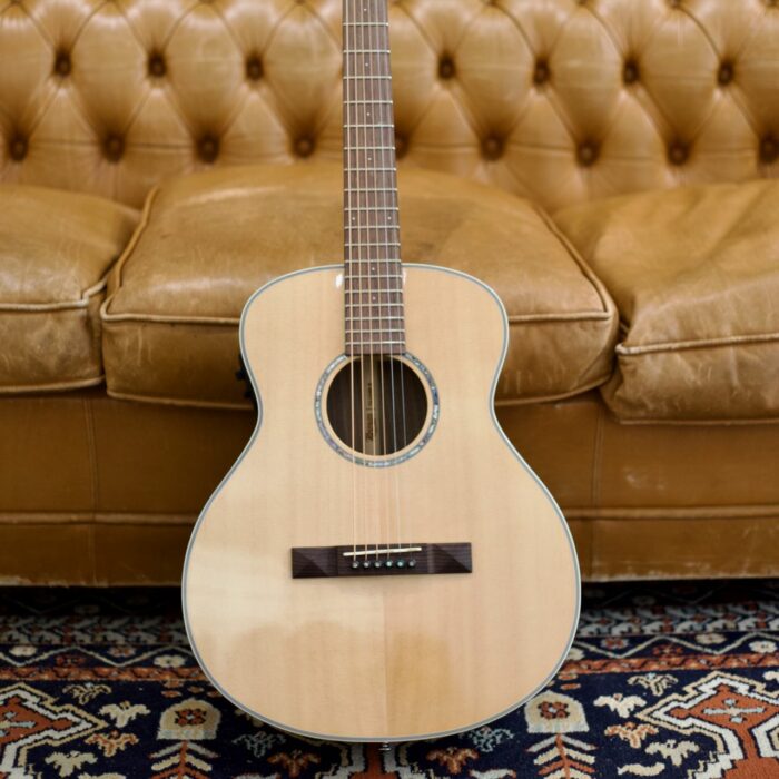 Guitarra Acústica Tasman TA100M-E