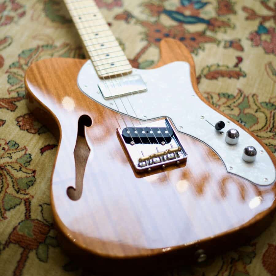 Guitarra FGN NTE110MMHT telecaster Thinline - Imagen 6