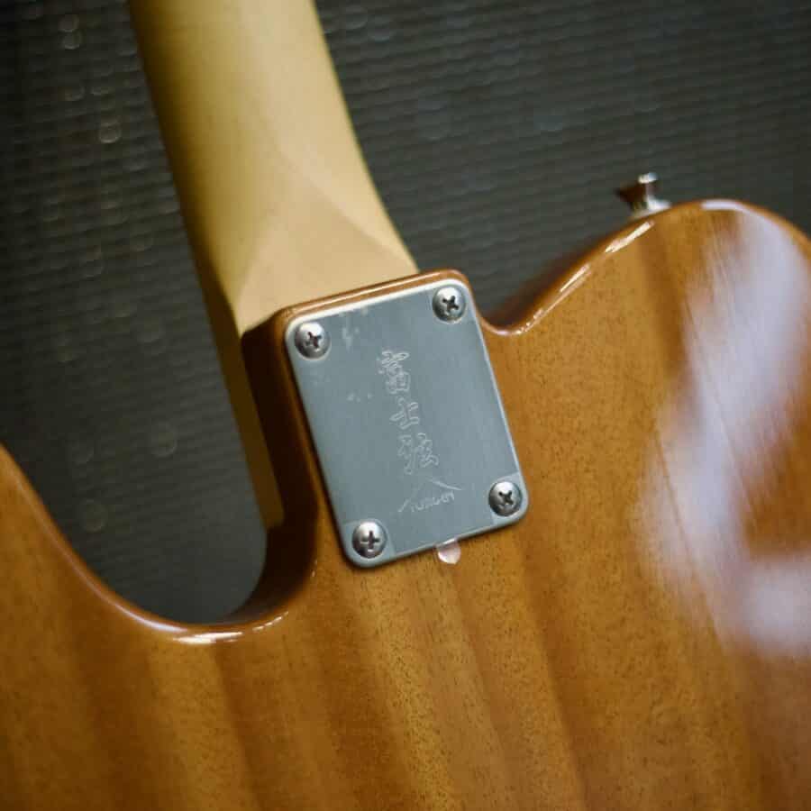 Guitarra FGN NTE110MMHT telecaster Thinline - Imagen 12