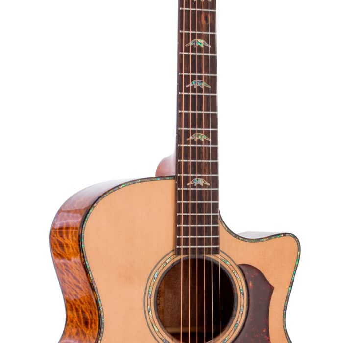 Guitarra Electroacustica Bromo Denali Series