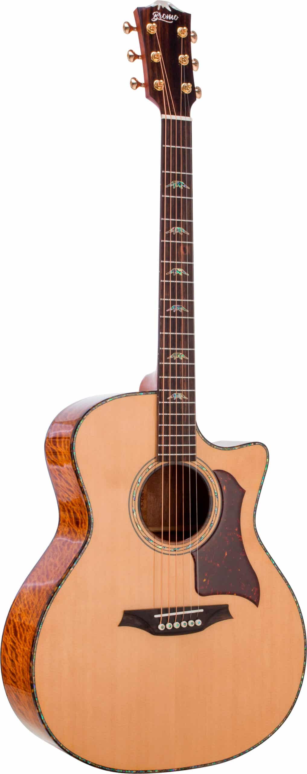 Guitarra Electroacustica Bromo Denali Series
